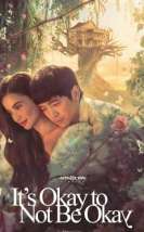 It’s Okay to Not Be Okay 2025 Filipinler