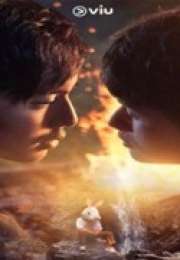 Lost in the Woods 2025 Tayland