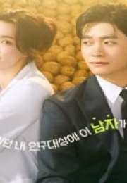 The Potato Lab 2025 Kore