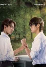 Eye Contact 2025 Tayland