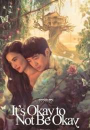 It’s Okay to Not Be Okay 2025 Filipinler