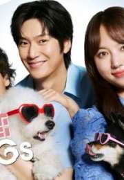Love Is for the Dogs 2025 Japon