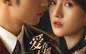 Undercover Affair (2024)