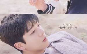 Serendipity’s Embrace 2024 Kore