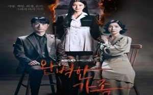 Perfect Family 2024 Kore