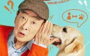 Dog Knows Everything 2024 Kore