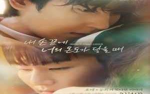 The Time of Fever 2024 Kore