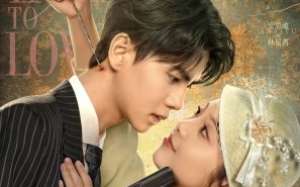 Too Late to Love 2025 Çin