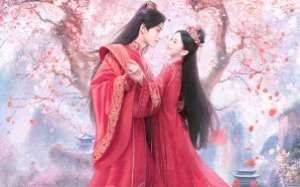 To Get Master 2025 Çin