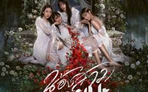 Hide & Sis 2025 Tayland